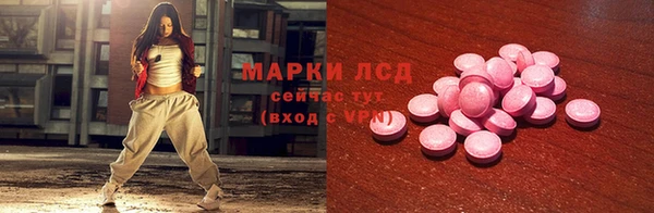 сатива Тында