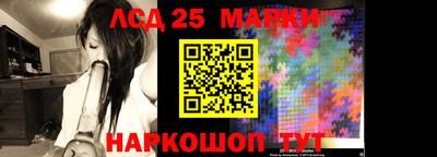 мяу мяу мука Кандалакша