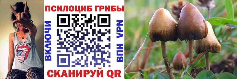наркота  Острогожск  Псилоцибиновые грибы прущие грибы 