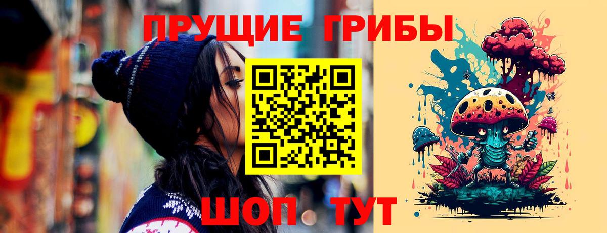 где продают   Галлюциногенные грибы GOLDEN TEACHER  Вход с VPN  Острогожск 
